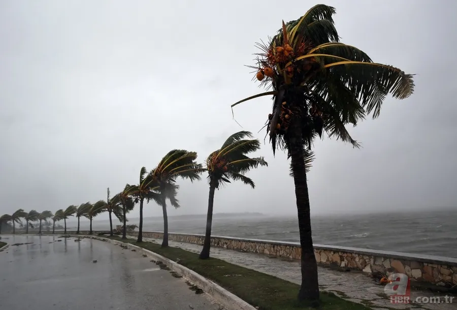 Irma Kasırgası Florida'ya ulaştı 5