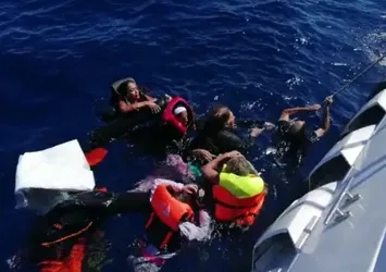 Bu görüntülere yürek dayanmaz! Bakan Soylu paylaştı: Lanet olsun insanlığınıza