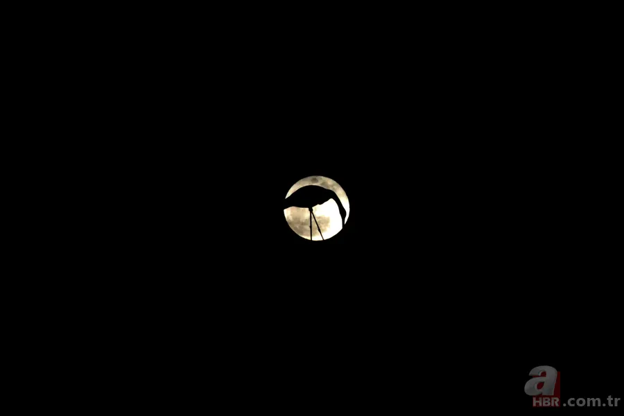 'Süper Kanlı Mavi Ay Tutulması' görsel şölen oluşturdu 16