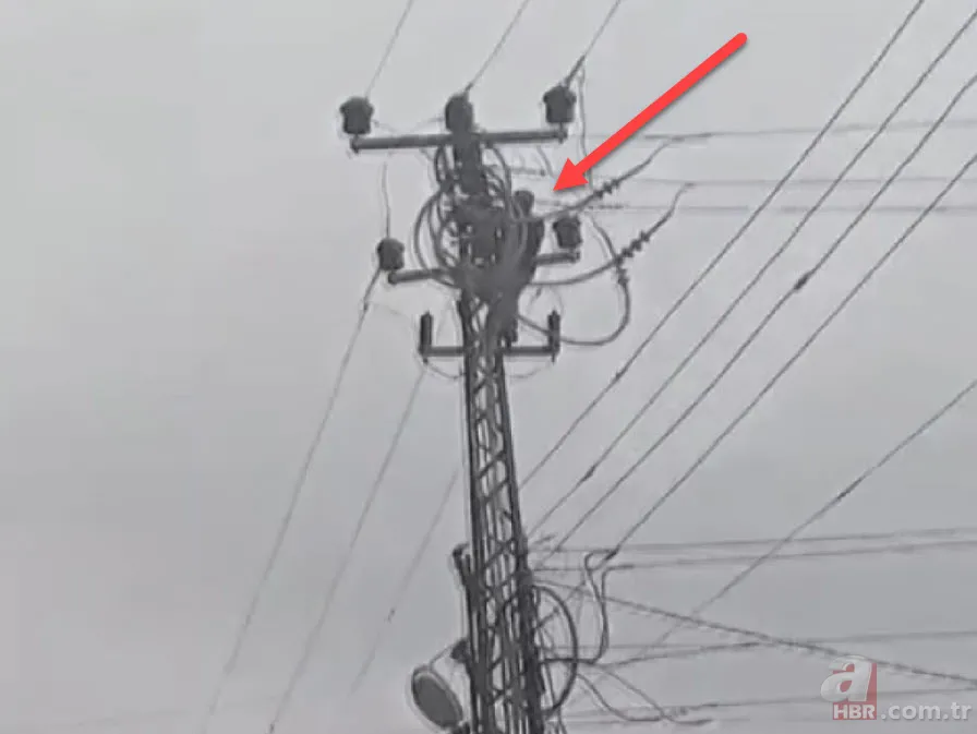 Elektrik direğine çıktı! Saniyeler sonra dehşeti böyle yaşadı 1