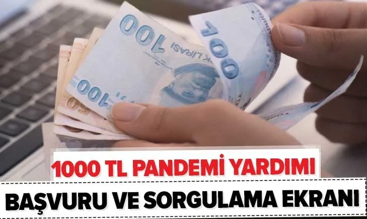 e-Devlet 1000 TL sosyal yardım parası başvuru ekranı! 3. faz pandemi başvuru sonucu nasıl öğrenilir?