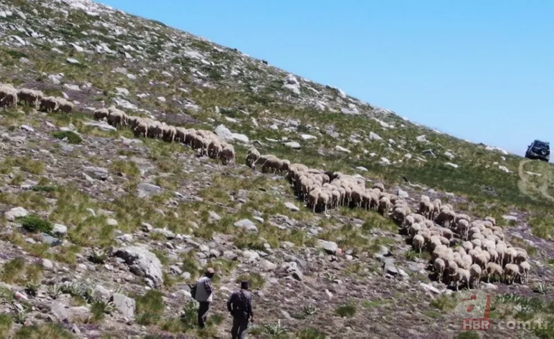 2543 metreden Başkan Erdoğan'a bayram selamı: Bizim gibi yaşlıları çok mutlu etti 9