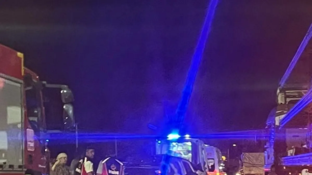 Domuz kazaya neden oldu: 5 yaralı