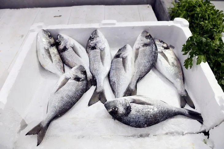 Son dakika balık fiyatları | Balık fiyatları ne kadar | Vatandaşı üzen haber! Ucuz balık beklemesinler