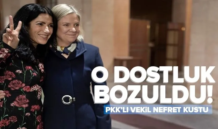 İsveç’in açıklamalarının ardından PKK’lı vekil Amineh Kakabahev nefret kustu!