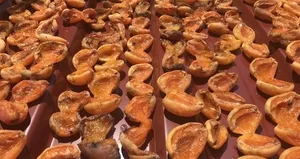 Tazesi 100 lira kurusu 1000 lira