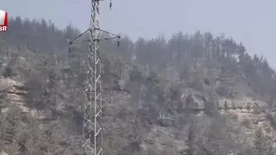 Karabük’te alevlerle mücadele sürüyor