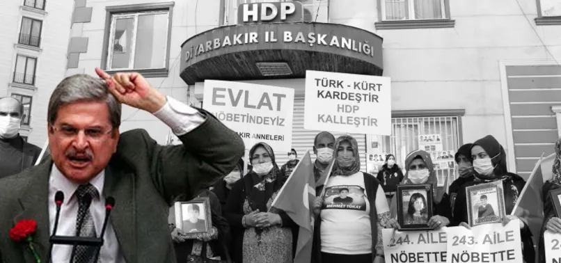 Akşener'in başdanışmanının HDP'yi aklama telaşı! Evlat nöbetini hedef aldı: O çocukları HDP'den istemek ne demek?