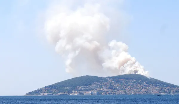Son dakika: Heybeliada’da korkutan yangın! Havadan ve karadan müdahale ile kontrol altına alındı