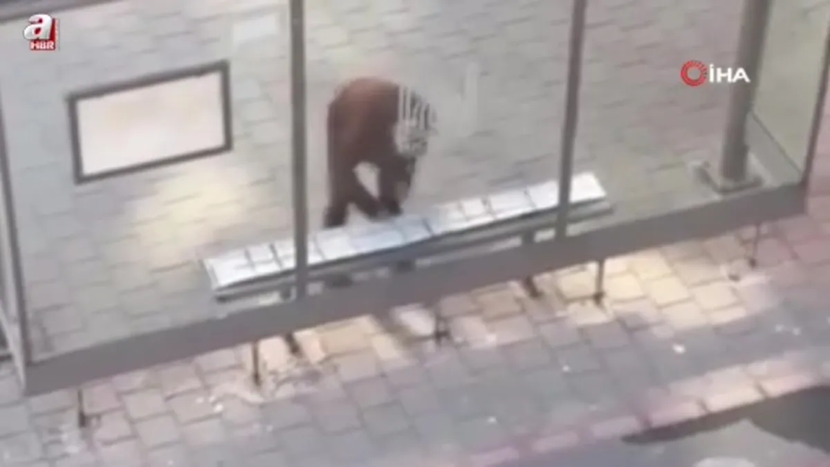 Mardin'de duyarlı vatandaş kamerada