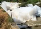 Dere köpürdü! Balıklar ölü bulundu