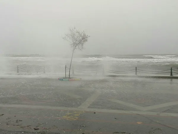 istanbul-vapur-seferleri-iptal-mi-29-kasim-eminonu-besiktas-kadikoy-vapur-seferleri-iptal-mi-1638185647903.jpg İstanbul vapur seferleri yapılıyor mu? 30 Kasım İstanbul'da Eminönü, Beşiktaş, Kadıköy vapur seferleri iptal mi? - 3