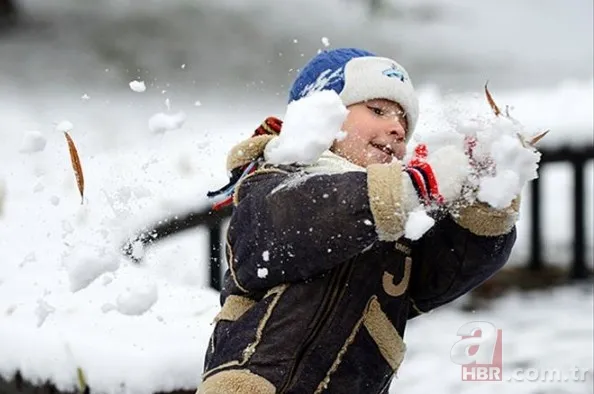 Valilikler peş peşe duyurdu! Eğitime kar molası: İşte 13 Ocak Salı okulların tatil edildiği iller 3