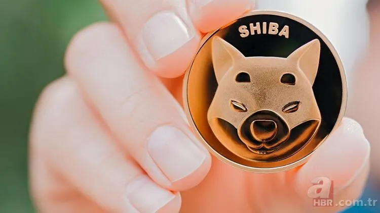Shiba coine yeni tokenlerin etkisi... Shiba coin yakımı ne zaman? Shiba coin düşecek mi, artacak mı? 4