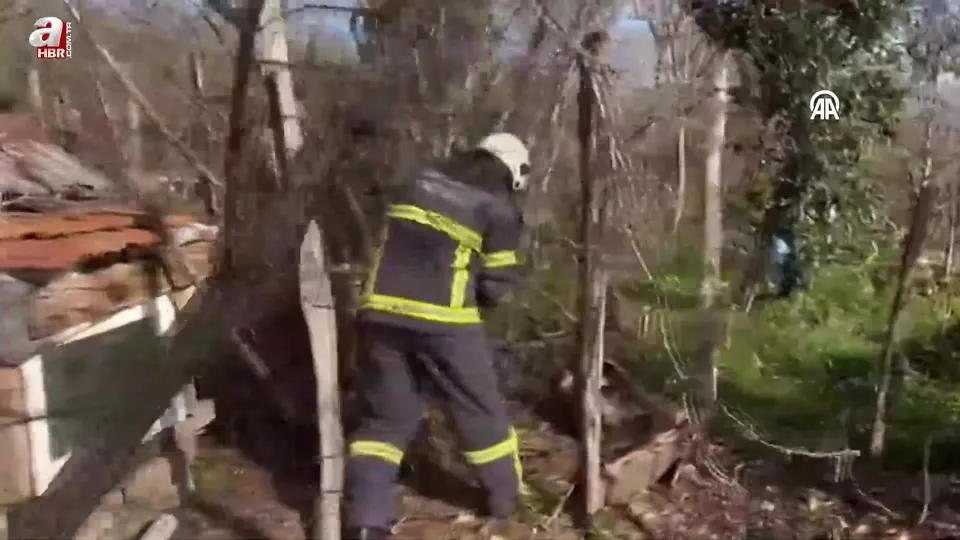 Ordu’da tavuk kümesinde mahsur kalan doğanı itfaiye ekipleri kurtardı