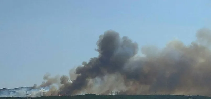 Son dakika: Gelibolu'da korkutan yangın
