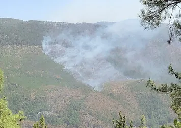 Mersin'de orman yangını! Havadan ve karadan müdahale ediliyor
