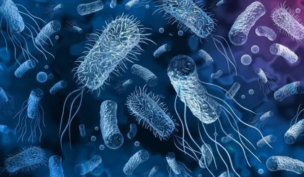 Kinder’e salmonella darbesi! Tarihinin en zor günlerini yaşıyor