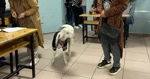 Oy kullanmaya kuzusuyla geldi