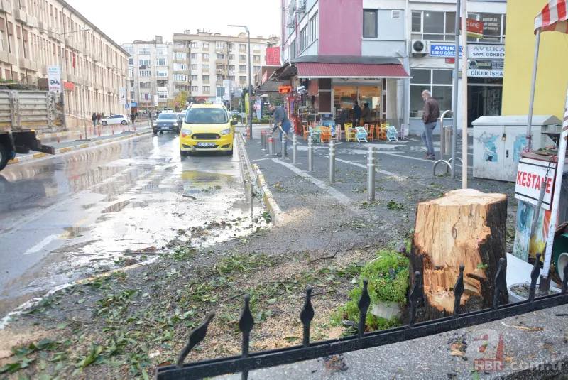 Türkiye'yi lodos vurdu! AFAD açıkladı: İşte il il son durum 21
