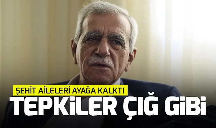 HDP’li Ahmet Türke tepkiler çığ gibi büyüyor