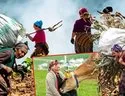 Karadeniz’in nemli ikliminde sinsi tehlike