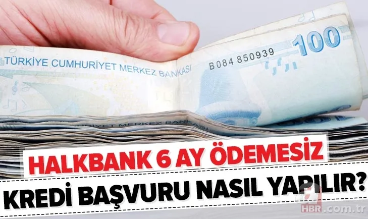 Halk Bankası destek kredisi başvuru ekranı! Halkbank 6 ay ödemesiz 10.000 TL temel ihtiyaç kredisi ne zaman sonuçlanır? 1