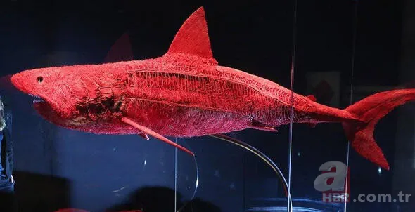 Hayat kurtaran teknolojik ipuçları! Kimse bu işe yaradığını bilmiyordu... 34