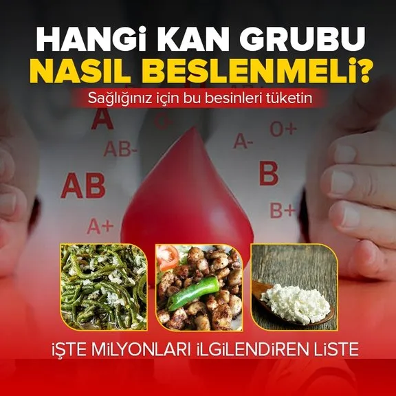 İşte milyonları ilgilendiren liste 🩸 Hangi kan grubu nasıl beslenmeli? Kan grubunuza göre bu besinleri tüketin