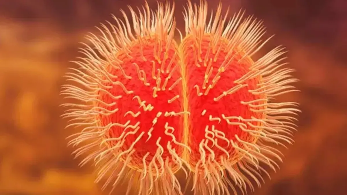 Moğolistan'da ikinci menenjit vakası bildirildi