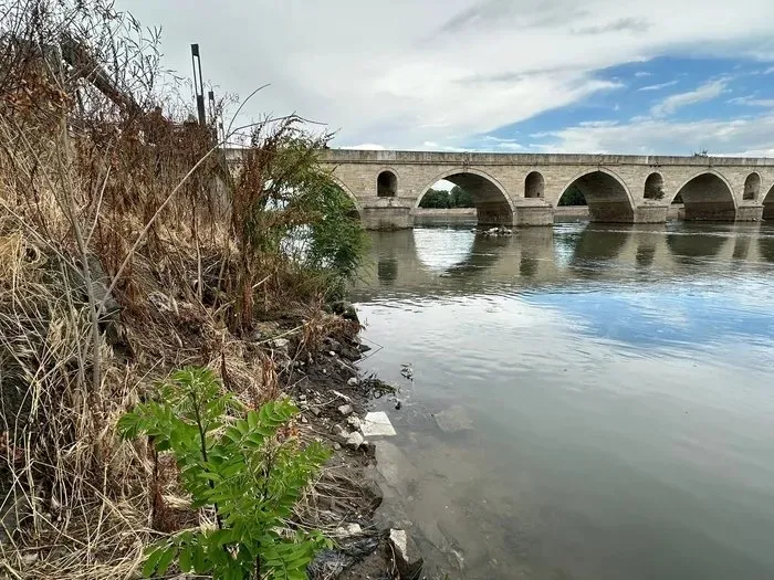 Kanalizasyon Meriç Nehri'ne bağlanmış! Edirne Belediyesi'nin gözü önünde skandal olay - 1