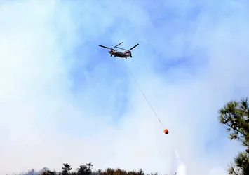 Kahramanmaraş'ta orman yangını! Dulkadiroğlu ve Kısıklı'daki yangınlara müdahale ediliyor