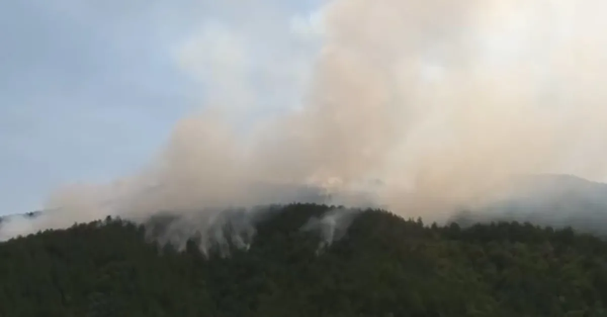 Kastamonu'da orman yangını