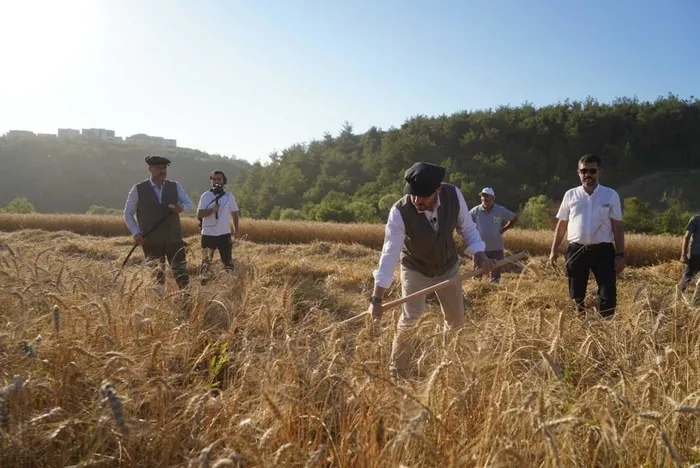 Türkiye 10 yıldır aralıksız dünya zirvesinde! Dünya Bankası verileri ortaya koydu