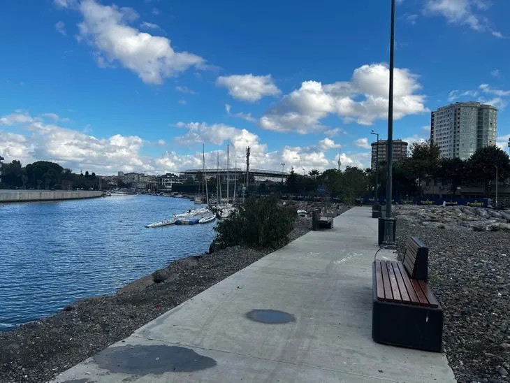 İstanbul’un göbeğinde görüldü! Kedi zannettiler ama gerçek çok farklı çıktı