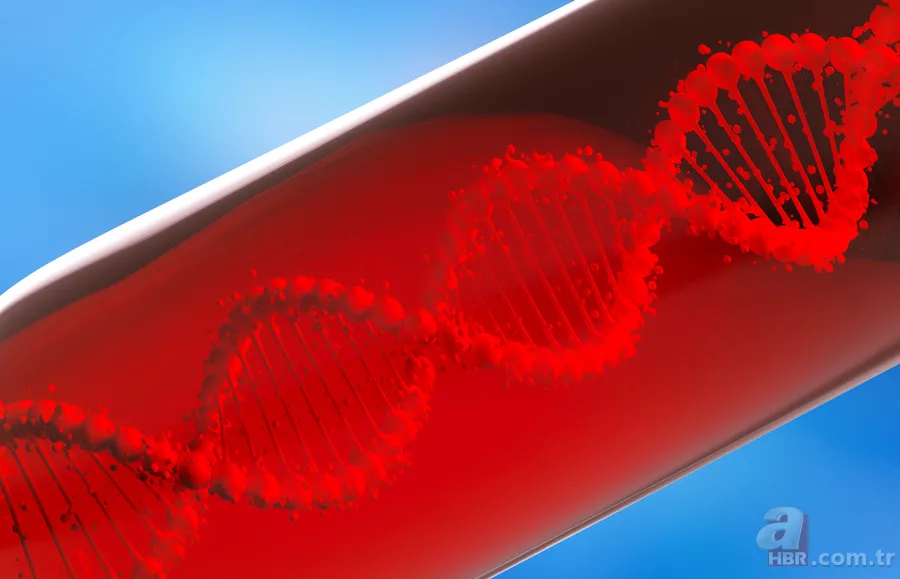 Kaçış sendromu hastalığı ne demek? Mehmet Ali Erbil hastalığı nedir? 10