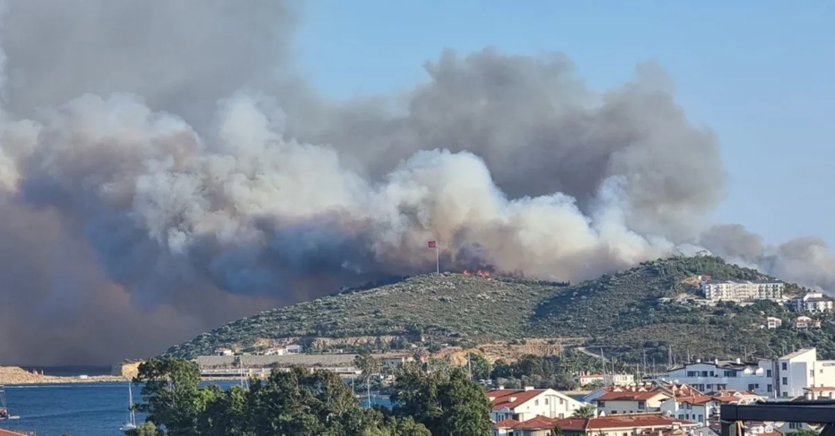 Datça Kargı koyunda orman yangını!
