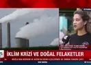 İklim krizi ve doğal felaketler