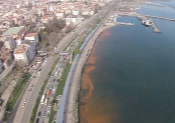 THY pilotu, denizi kirleten gemiyi ihbar etti