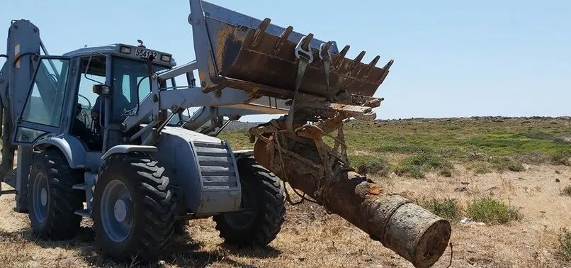 Son dakika: İzmir'de balıkçı ağlarına takılmıştı! Uzunada'da imha edildi