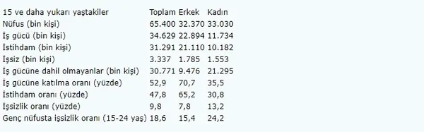 tuik-haziranda-issizlik-yuzde-96-oldu-1691653865885.jpg TÜİK: Haziranda işsizlik yüzde 9.6 oldu - 2