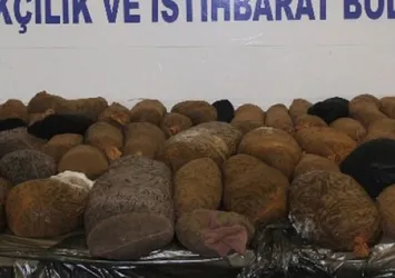 Çorabın içinden çıktı görenler inanamadı