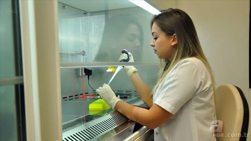 Hemşireler Günü mesajları 2022: Arkadaşa, sevgiliye, ablaya gönderilebilecek en güzel Hemşireler Günü kutlama mesajları 11