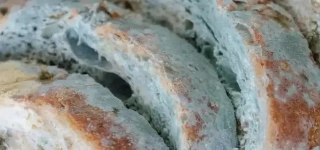 Ekmeğiniz küfleniyorsa bu yöntemi deneyin! Çözümü çok basit...