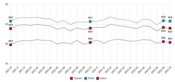 turkiyede-istihdamda-buyuk-artis-issizlik-oranlari-geriliyor-tuik-ekim-2023-isgucu-istatistikleri-1702280066412.jpeg
