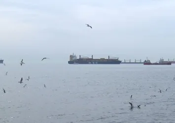 Bakırköy'de konteyner gemisi karaya oturdu