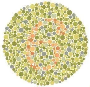Renk körlüğü testi