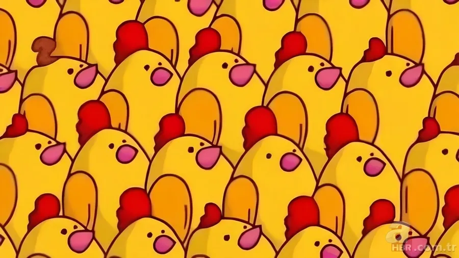 Zeka testi: Sincabın kuyruğu nerede? 593 kişiden 24'ü bulabildi 2