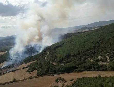 canakkalede-orman-yangini-helikopter-ve-ucaklar-gorevde-1665054593175.jpg Çanakkale'de orman yangını! Helikopter ve uçaklar görevde - 1