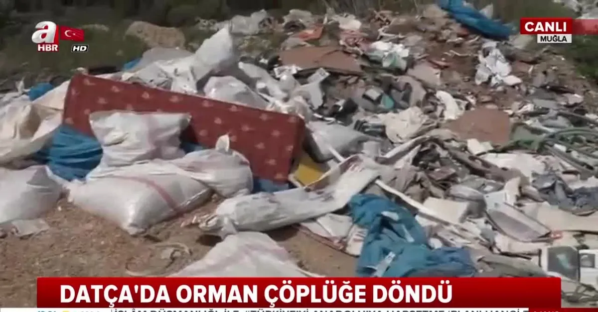 Turizm cenneti Muğla'da skandal!